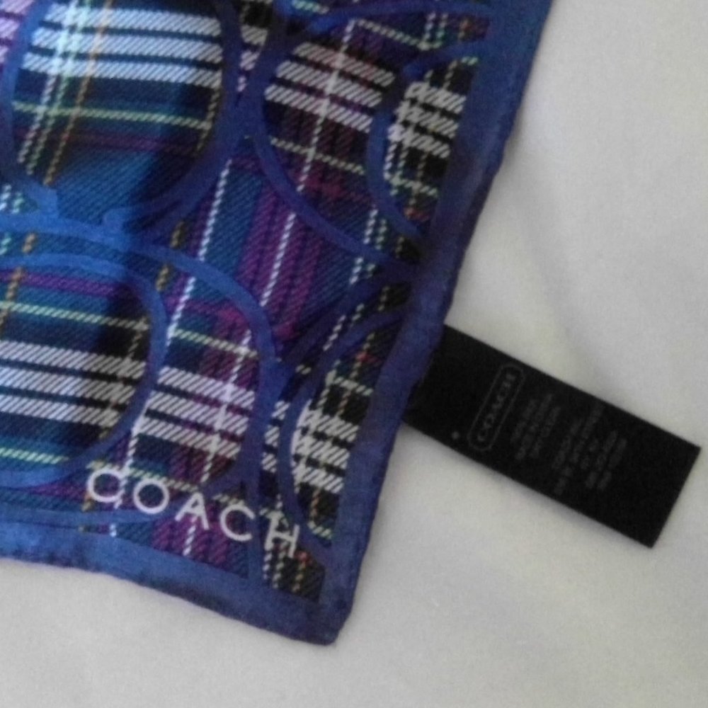 Silk Coach Scarf - Gorgeous! - Picture 3 of 5